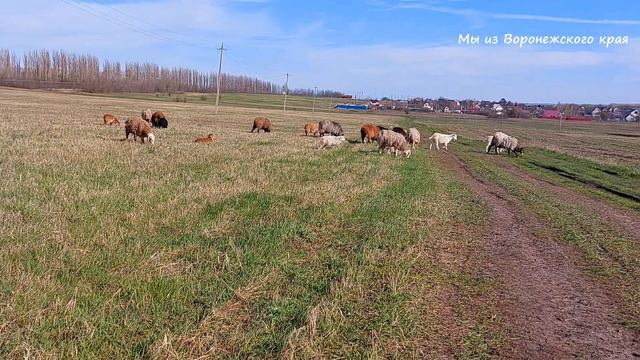 Подальше от городской суеты/Райское место-родной край/16 апреля 2023г/Новоусманский район.