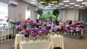 Выставка МИР ФЛОКСОВ 27-30июля 2023. Бот.Сад Петра Великого. С-Петербург