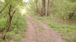 Богучар остров.mp4