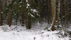 РУССКАЯ ЗИМА⛄Зима в Подмосковье ⛄Снежная романтика❄️гуляем с сыном