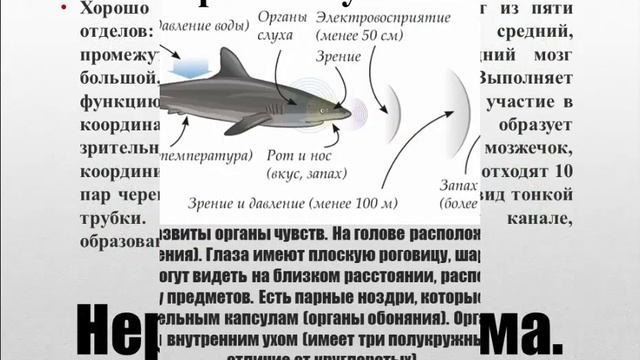 Согласны? Fishing knots, Fly fishing knots, Fishing tips