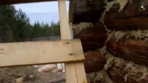 Защита сруба без крыши на зиму.