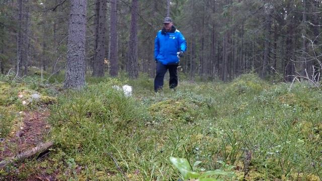 Bianco, Cotton de Tulear смотреть онлайн