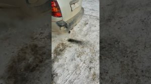 Раскоксовка, водородом, Новосибирск, понтиак вайб.