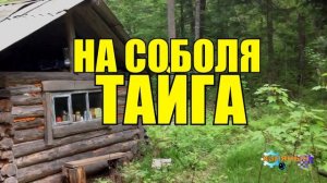 0852 - НА СОБОЛЯ _ ЖИЗНЬ В ГЛУХОЙ ТАЙГЕ _ ПРЕДАТЕЛЬСТВО ОХОТНИКА.mp4