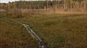 ЩЕПКА(Щепкинское болото,Малинское болото) 8-й микрорайон.ЗЕЛЕНОГРАД.Достопримечательности.