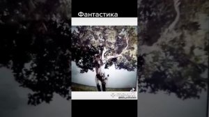 Анонс идеи для фантастического блокбастера.