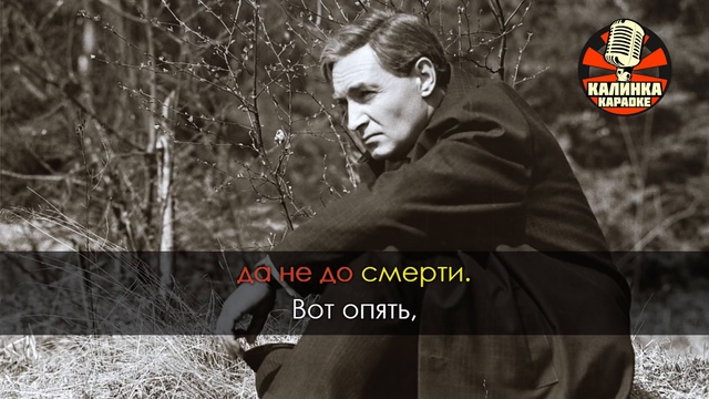 Песня агутина 17 мгновений весны. Визбор 17 мгновений весны.