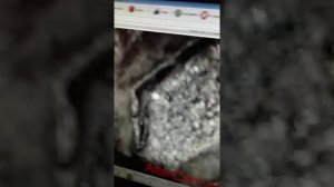 микроскоп электронный 50 х 1600 увеличение