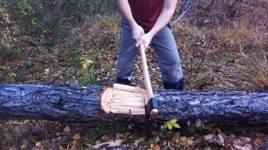 Рубка топором лиственницы. Топорище ясень,обратный всад.