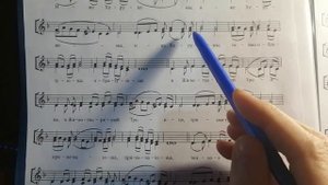 Продолжаем разбирать Двухголосную Литургию древних напевов. Херувимская Лапаев.