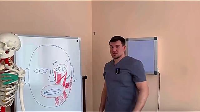 Массаж лица, две минуты каждый день, от Антона Алексеева😉 смотреть онлайн