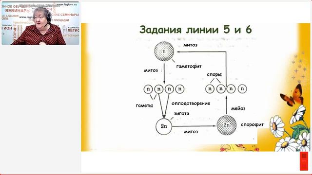 Задания высокого уровня сложности в ЕГЭ по биологии 2024 года смотреть онлайн