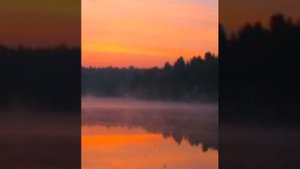 Какое счастье, что у нас есть Кто-то.