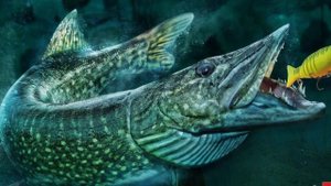 ТОП-5 самых больших щук пойманных на удочку в мире.