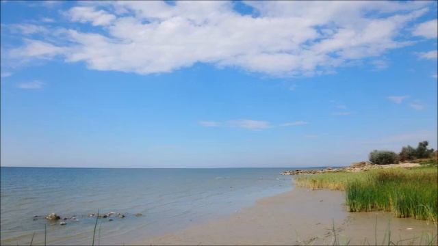 Пастбище для скота. Деревенский пастораль.