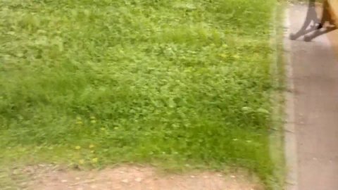 Путешествия. Как выглядит центр Кирова. Поездка по Кирову