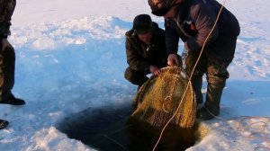 Рыбалка на байкальского налима в Бурятии