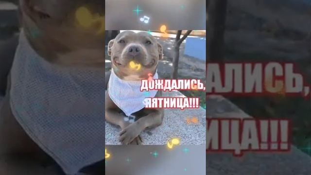 Хороших выходных ! Шикарная песня Выходной ! Пожелание с лучшими выходными ! смотреть онлайн