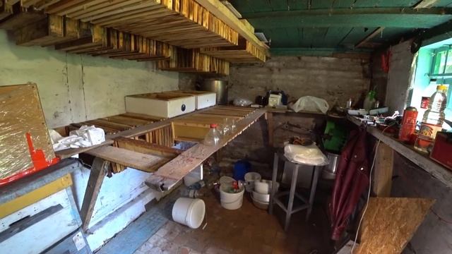 Как сохранить вощину от моли? смотреть онлайн