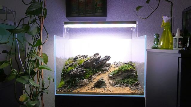 The Seiryu Cliff - Part 2 Planting смотреть онлайн