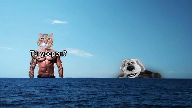 #носок