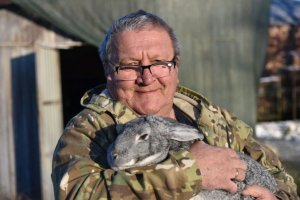 Кролики и люди. Как жить вместе.