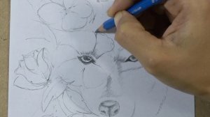 How to draw flower wolf tattoo step by step | Hihi Pencil