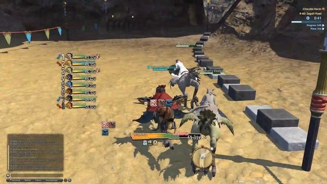 BEGINNER'S guide to CHOCOBO RACING: quick & easy tips for MORE WINS!