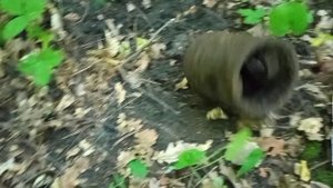 #26 Поиск металла в лесу 2