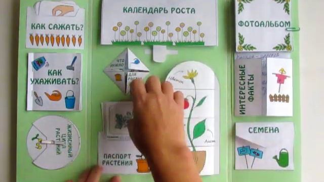 Лэпбук "Мой сад" смотреть онлайн