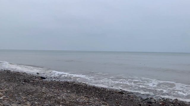 СОЧИ сегодня /ХОСТА/ МОРЕ и СНЕГ