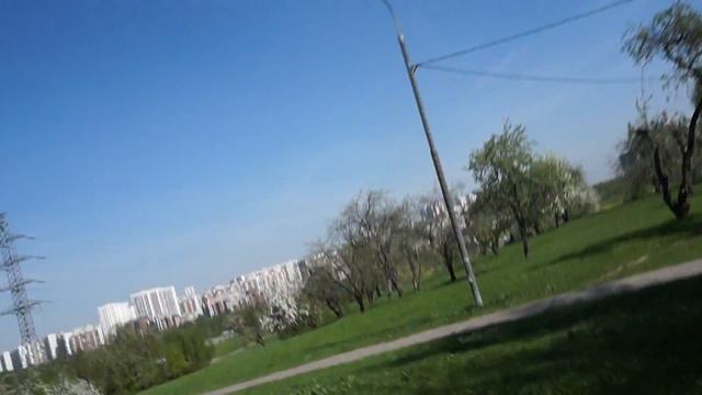 Парки весной красивые белоснежные