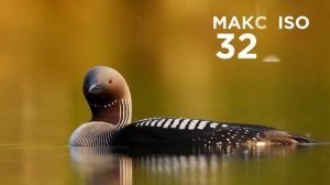 Canon EOS 90D обзор характеристик