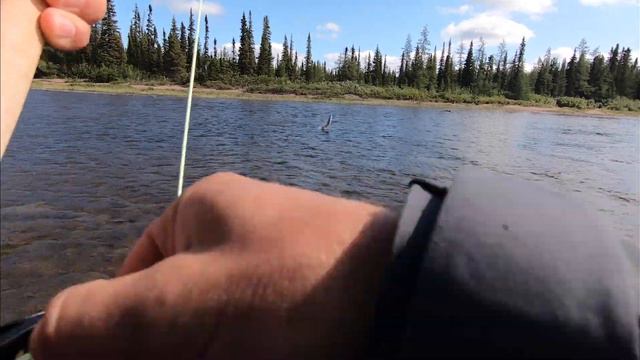 Ловля СЕМГИ в КАНАДЕ река Hunt River / Atlantic Salmon fly fishing in Hunt River, Canada.
