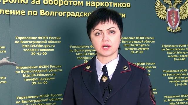 комментарий руководителя пресс-сулжбы УФСКН России по Волгоградской области Натальи Климачевой смотреть онлайн