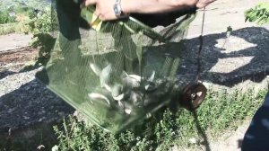 Кубок России 2015 по ловле донной удочкой (г. Нижний Новгород)