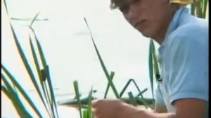 Клёвое место  Ростовская область  Болото Буффало  Ловля буффало