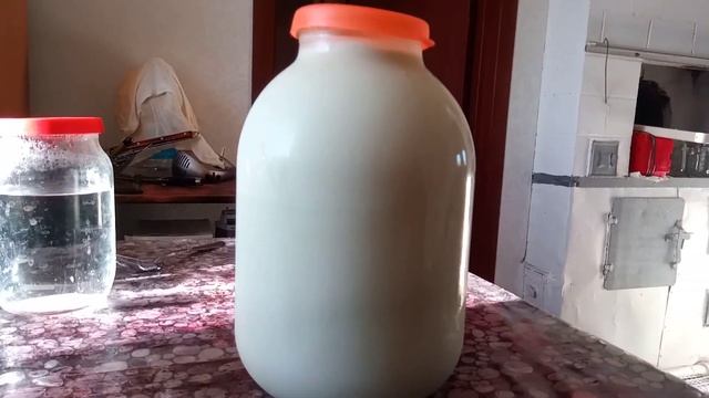 Корова Джерси отдыхает Отстой от Швица