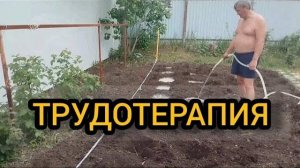 Съели первый огурчик. 17-18 мая 2024