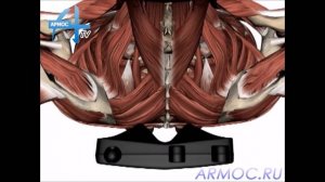 Занятия на массажере Армос