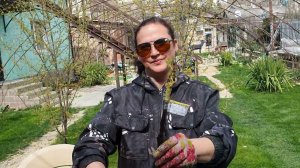 результаты настольной прививки Винограда.Высадка готовых саженцев и их закалка