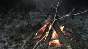 НАСТОЯЩИЙ БУШКРАФТ, ВЫЖИВАНИЕ, РЫБАЛКА. НОЧЕВКА В ЗИМНЕМ ЛЕСУ! 2 серия