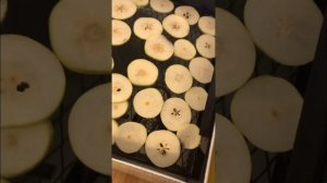 ТермМикс электросушилка фруктов и овощей