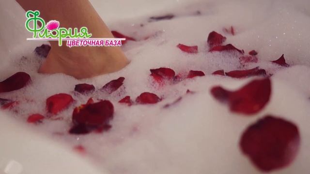 Съёмочный ролик для магазина «Флория» - сети цветочных баз, хронометраж 10 сек., г. Тверь смотреть онлайн