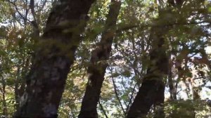 Топловский монастырь. Крым. Россия.