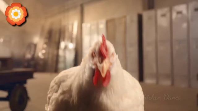 FUNNY CHICKEN DANCE 2 │ Chicken Song & Videos 2021 | Chicken Dance смотреть онлайн
