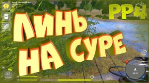 Линь на Суре. Кратко про сподовое удилище • Русская рыбалка 4 • Ловля фидером