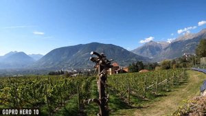 GoPro Hero 10 vs iPhone 13 Pro Camera Comparison!