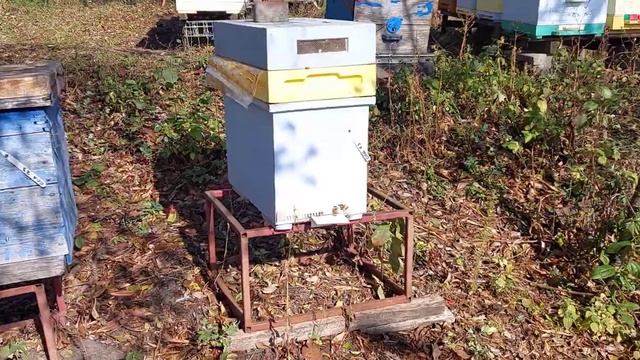 19 октября 2023 г. смотреть онлайн